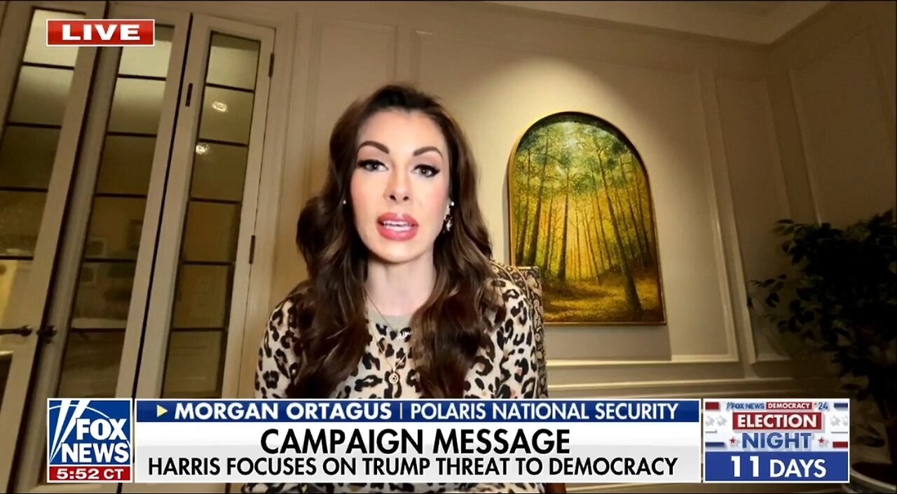 Dems Threat To Democracy Rhetoric On Trump Wreaks Of Desperation: Morgan Ortagus