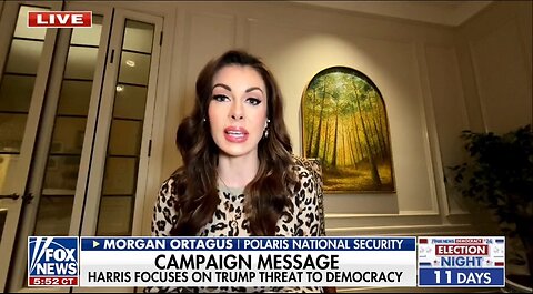 Dems Threat To Democracy Rhetoric On Trump Wreaks Of Desperation: Morgan Ortagus