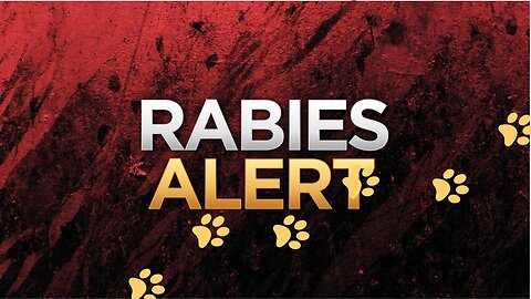 World Rabies Day, What is Rabies, How harmful for Human