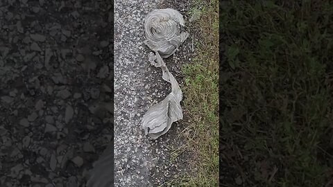 what is this #shorts