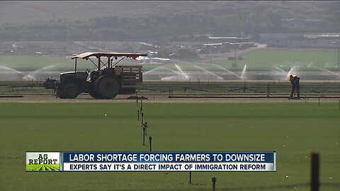 Ag Report: Crippling labor shortage, stock market plunge and new Mexican tomato agreement