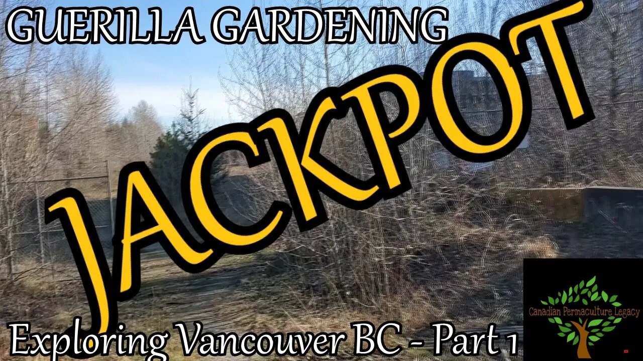 Vancouver Pt 1 - Guerrilla Gardening JACKPOT