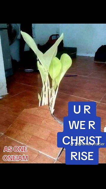 CHRIST RISES IN YOU: AS YOU: LOVE YOU CHRIST: