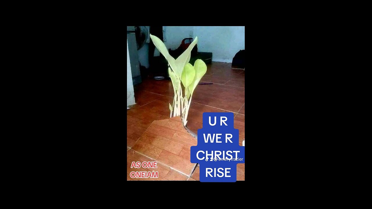 CHRIST RISES IN YOU: AS YOU: LOVE YOU CHRIST: