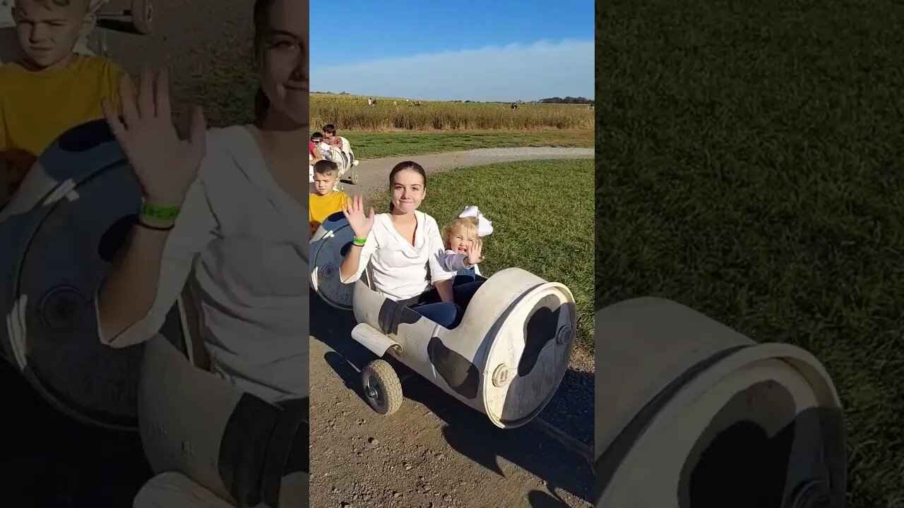 Moo Choo Train