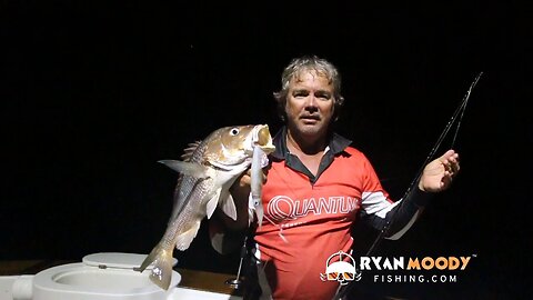 CATCHING BIG FINGERMARK WITH LIVE SQUID - BEST BAIT