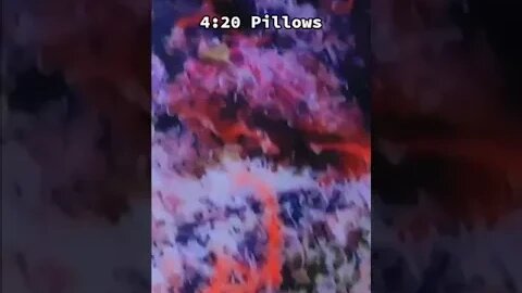 4:20 Pillows