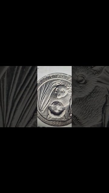 2020 Quarter Everyone is LOOKING for! #coin