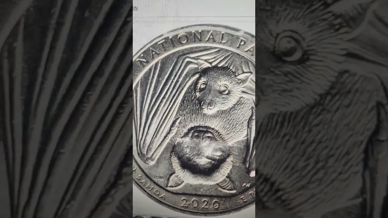 2020 Quarter Everyone is LOOKING for! #coin