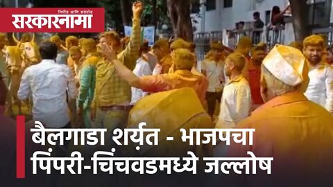 Bullock Cart Race News | भाजपचा पिंपरी-चिंचवडमध्ये जल्लोष | Politics | Maharashtra | Sarkarnama