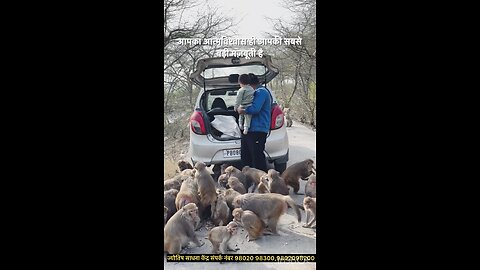 chote bache ne ki Bandra ki सेवा