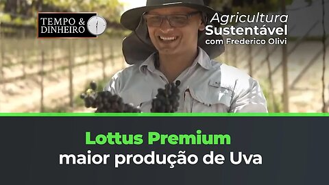 Lottus Premium maior produção de uva