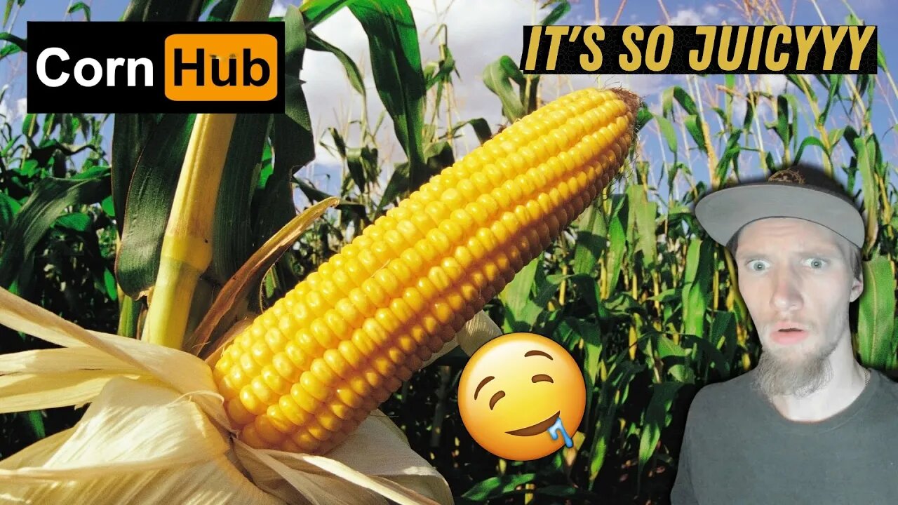 REACTING TO CORNHUB - Let The Corning Begin