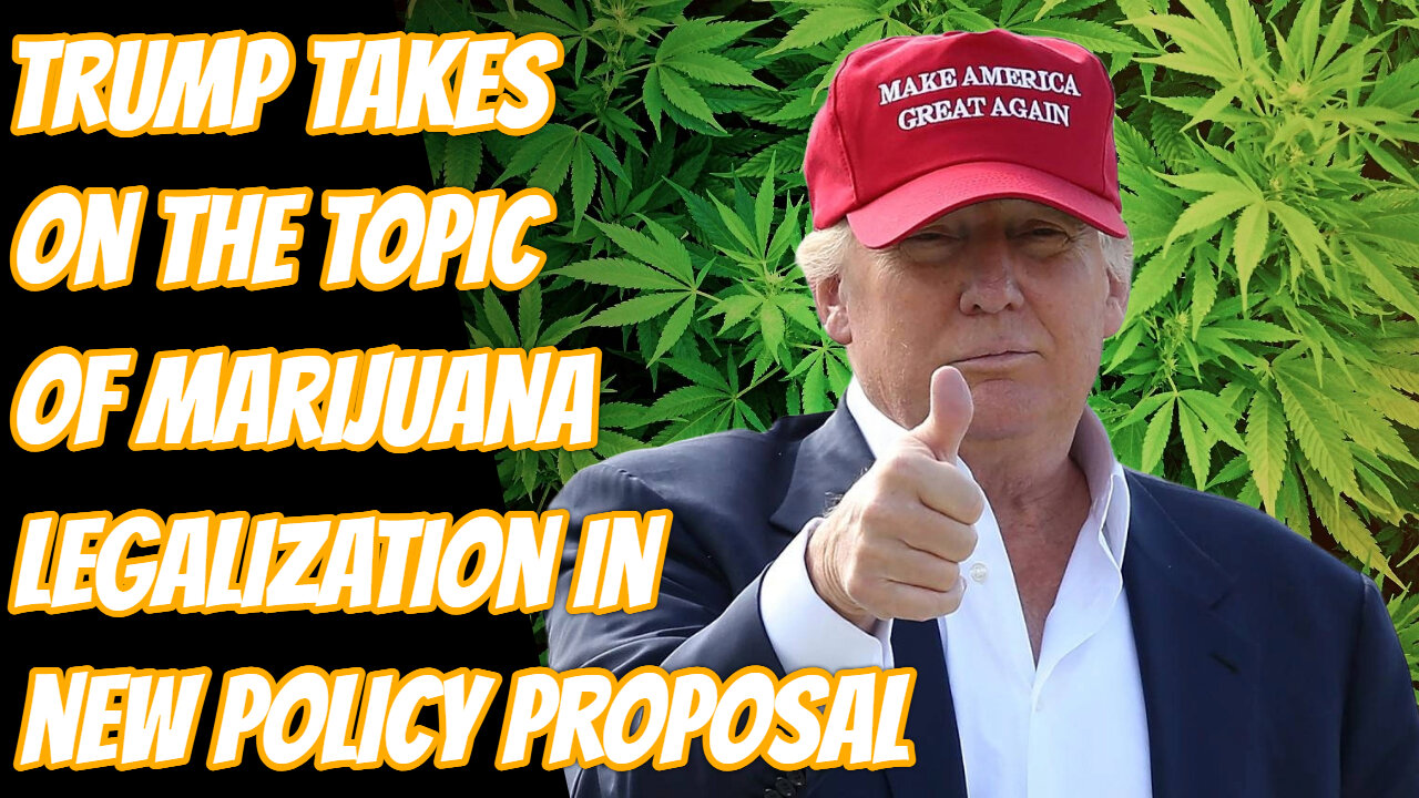 Donald Trump Calls For The Legalization Of Marijuana