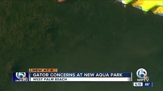 Should aqua park visitors be concerned about alligators?