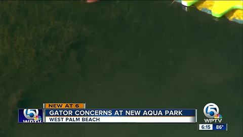 Should aqua park visitors be concerned about alligators?