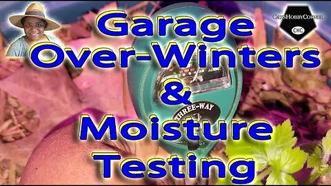 #garage #overwintering & #moisturetesting - #catshobbycorner