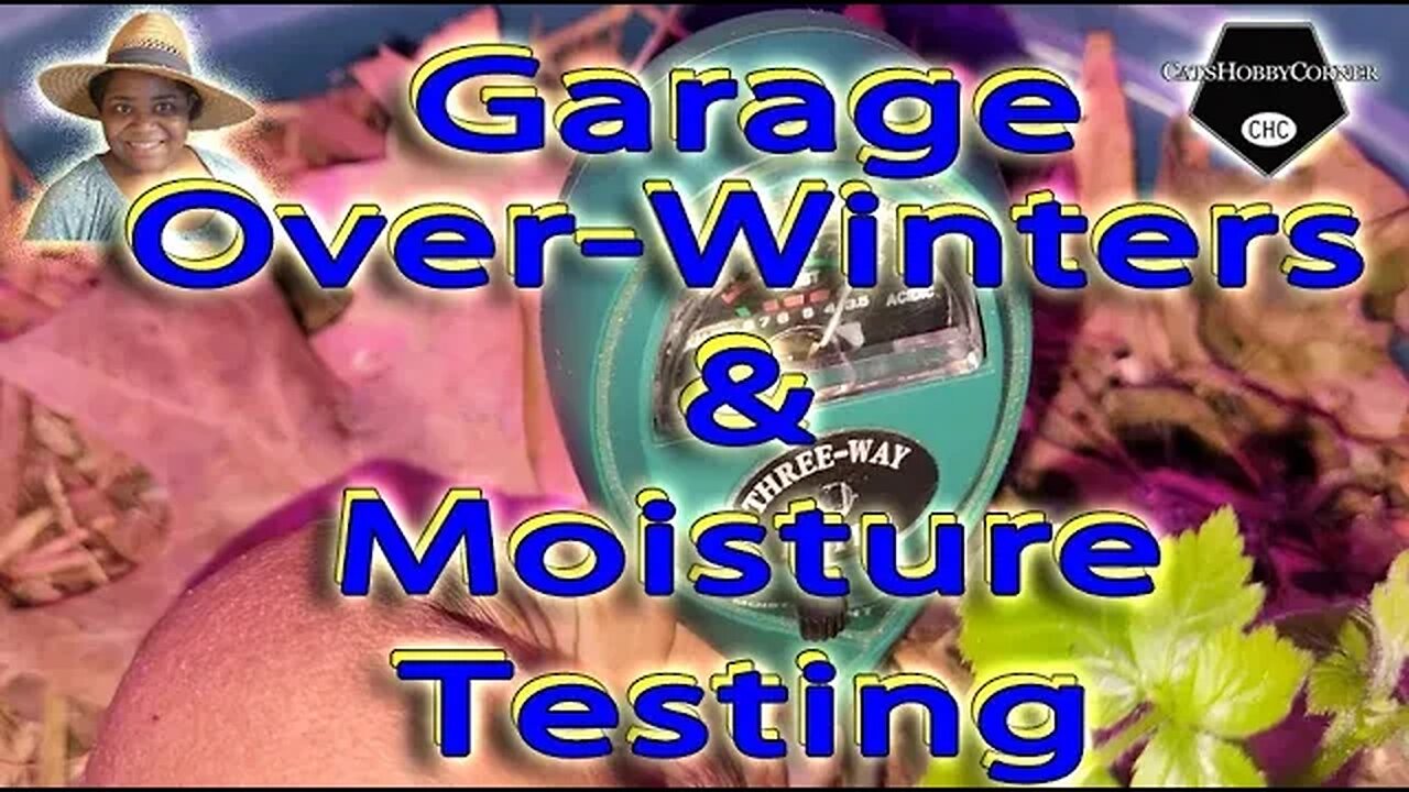 #garage #overwintering & #moisturetesting - #catshobbycorner