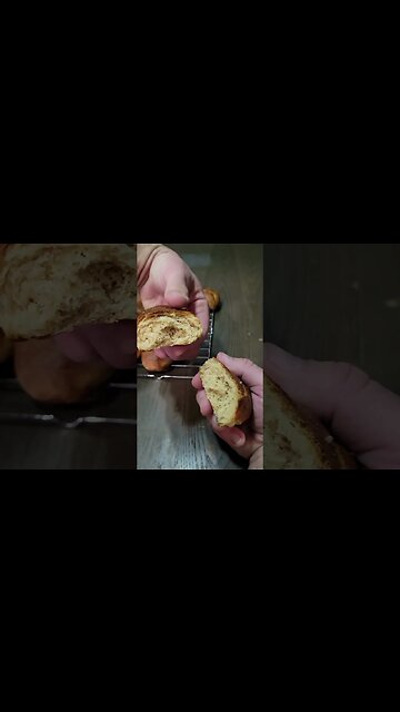 Pretzel Buns Made With Fresh Milled Flour!