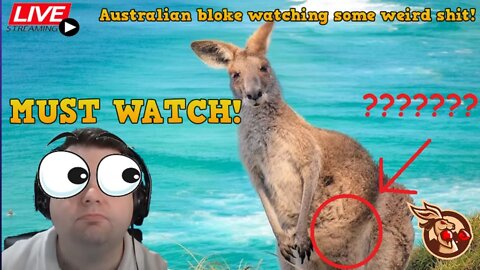 Dodgy Tax Agent - Aussie Overlawd Snippet