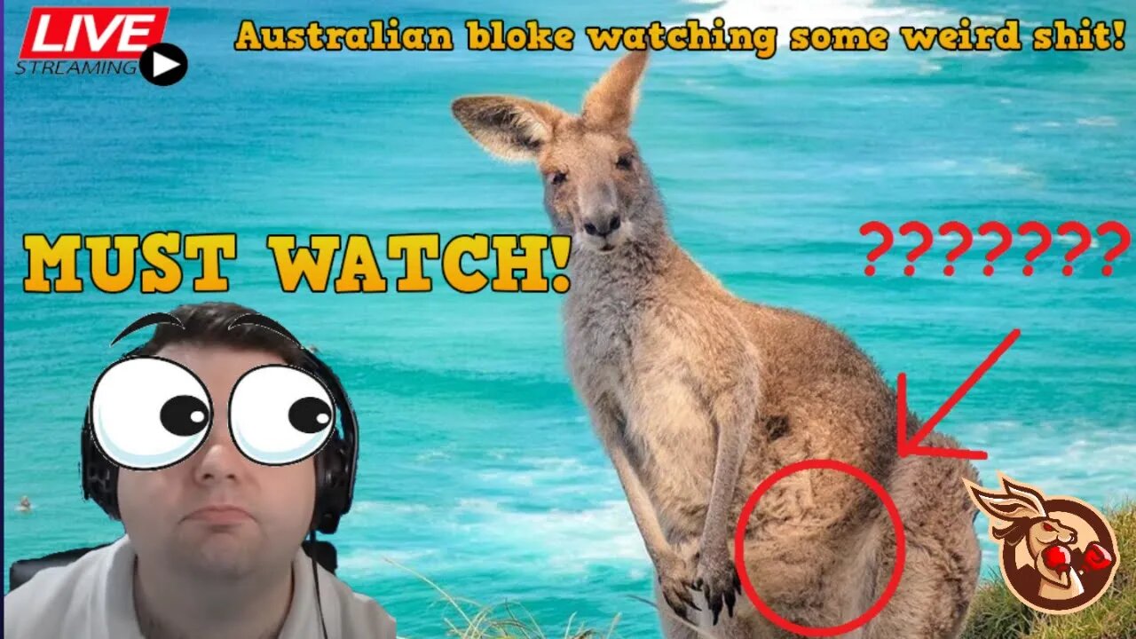 Dodgy Tax Agent - Aussie Overlawd Snippet