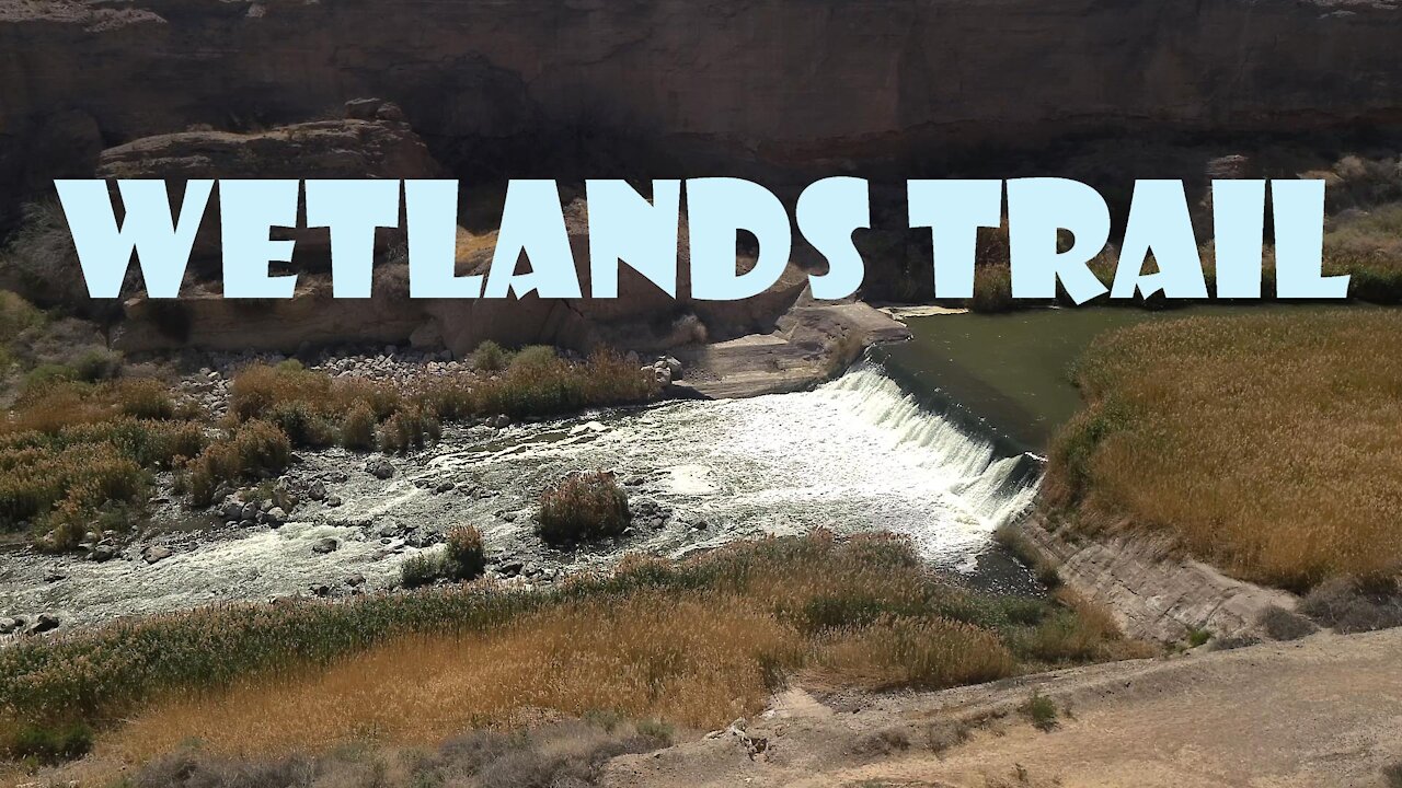 Wetlands Trail - Lake Mead, NV