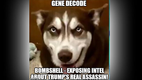 Gene Decode BOMBSHELL - Exposing Intel About Trump's REAL Assassin - 7/26/24..