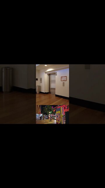 BRISBANE CITY WALKING TOUR EXPERIENCE || QLD - Australia