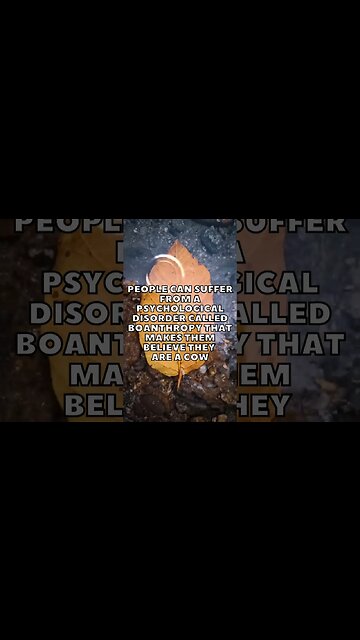 Incredible Random Facts That Will Expand Your Mind! [2023] #shorts #facts #viralshorts #fyp #life