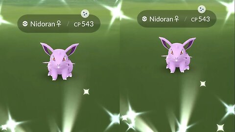 My Reaction to Shiny Nidoran F