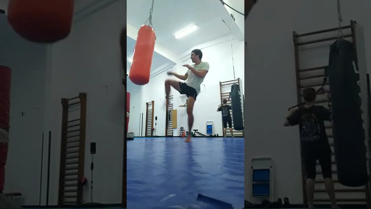 Kick and Punch The Bag (27) - 5 x Combo Defense