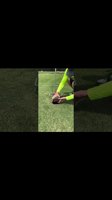 Oddly Satisfying Grass Plug