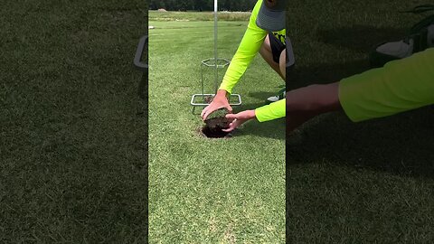 Oddly Satisfying Grass Plug