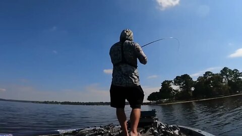 10-Pound MONSTER Caught on Prototype Swimbait