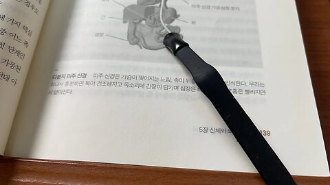 몸은 기억한다 베셀반데어콜크 트라우마 비행기충돌사고 포지스의이론 자율신경계 생리학적상태 생존방식 붕괴상태 스탠 우트 뇌스캔 미주신경복합체 횡격막 후드 땀샘 파충류뇌 애완동물가