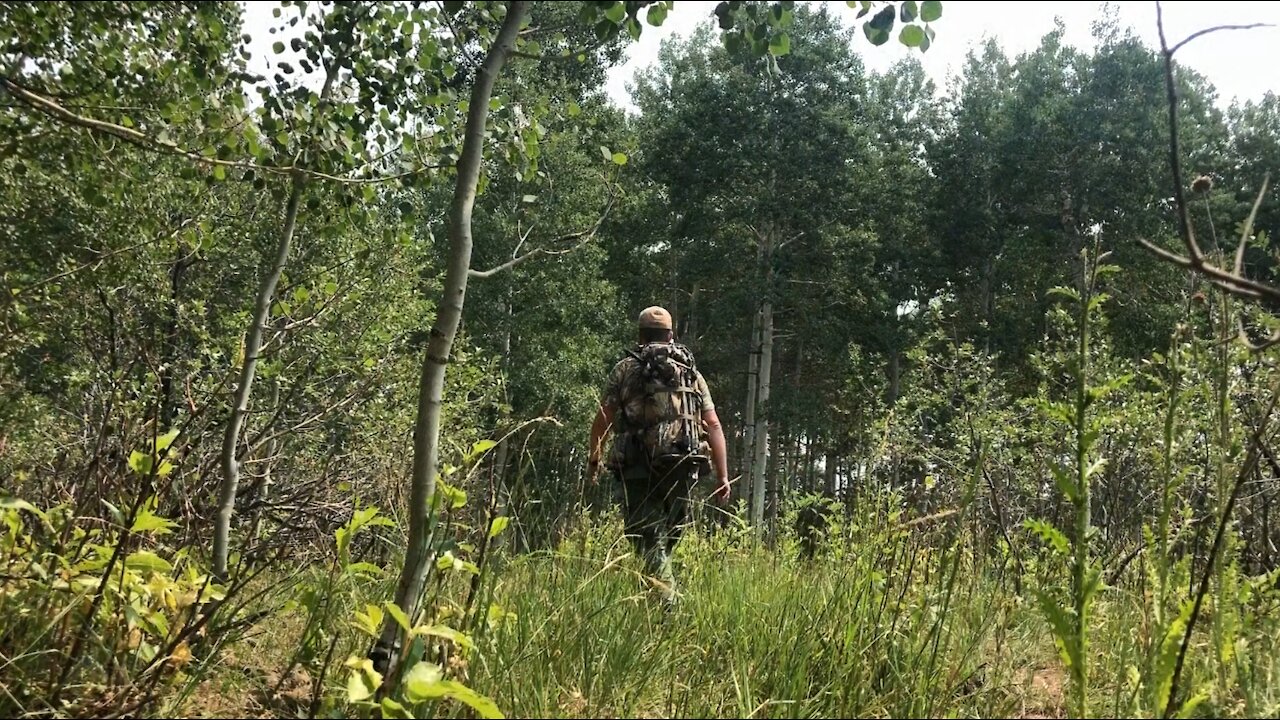 Summer Scout 16Aug21 - Last scouting trip for elk