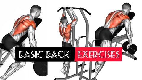 Basic back exercises (barbell/dumbbells/body weight)