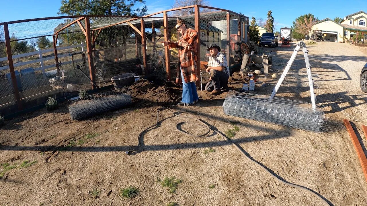 Building a Guinea Enclosure | Celebrating New Years Eve | How To Build a Door Using a Gate Kit