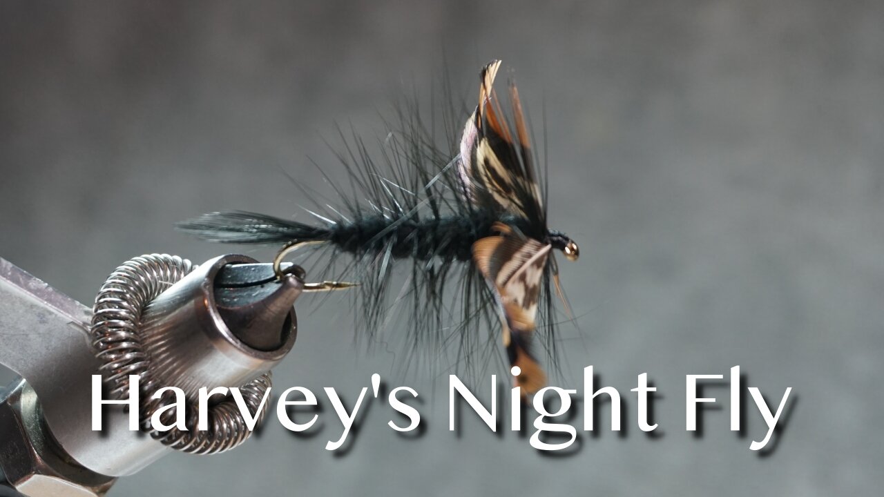 Harvey’s Night Fly