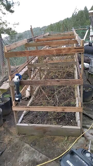 Raspberry raised bed trellis fence