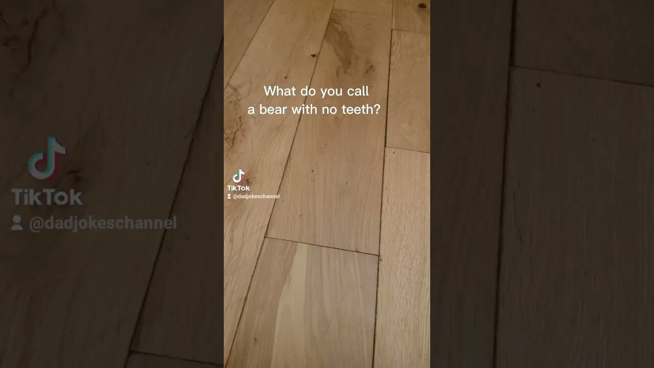 Tiktok silly bear dad joke #jokes #dadjokes #shorts