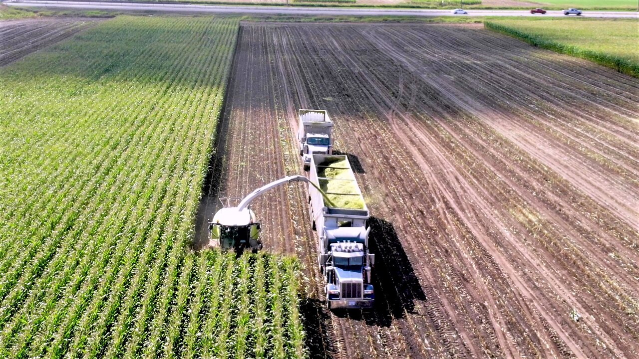 Drone captures unique view of skillful farmers hard at work