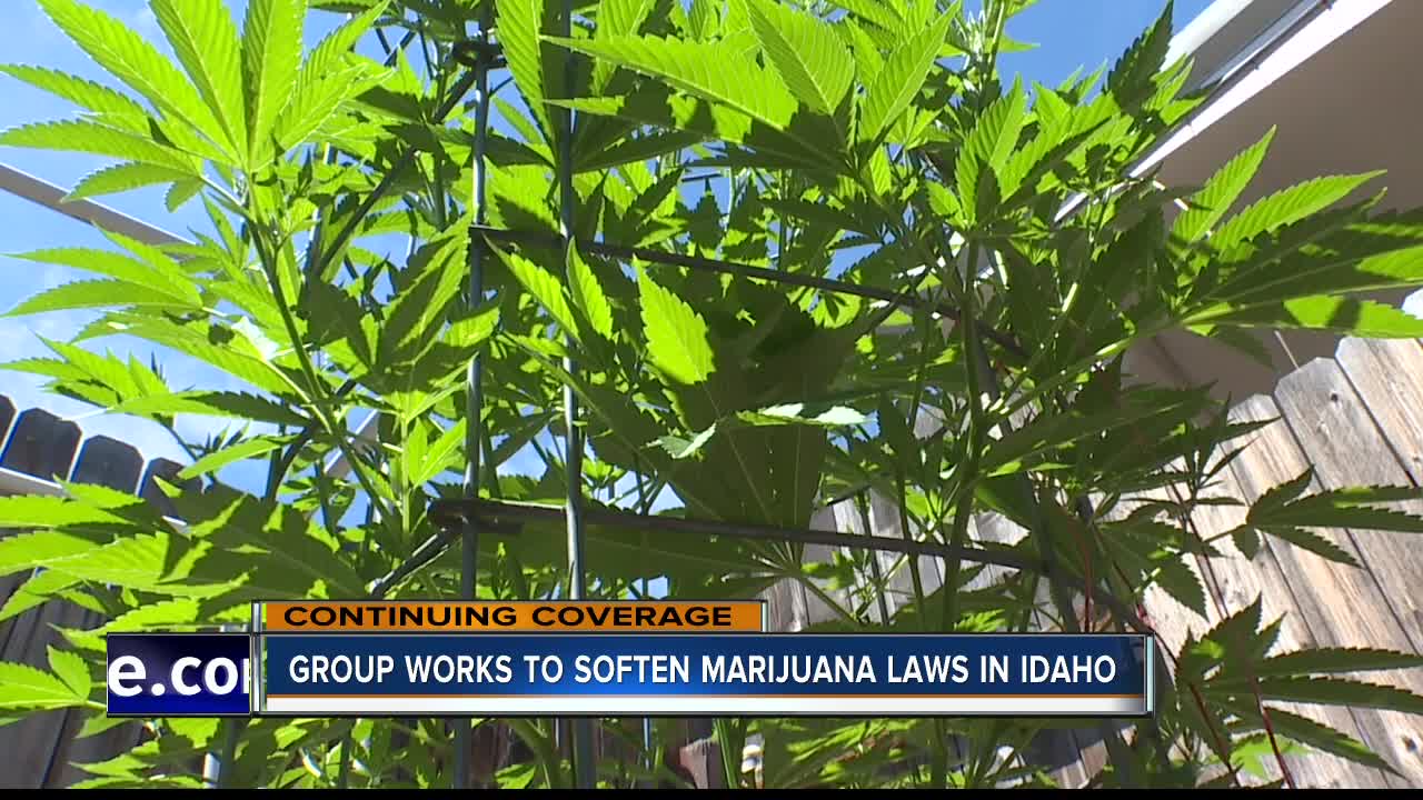 Group works to soften marijuana laws in Idaho