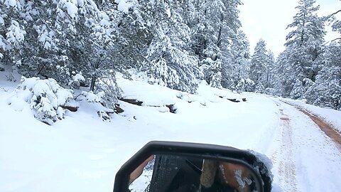 snow day on the Honda pioneer 1k6