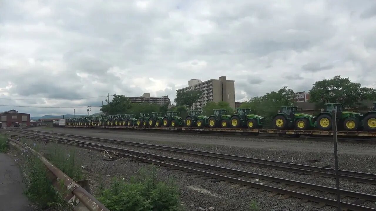 Deer on the move in Altoona, Pa.