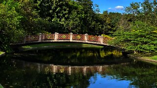 Green Oasis -Queen Sirikit Park - Bangkok Thailand