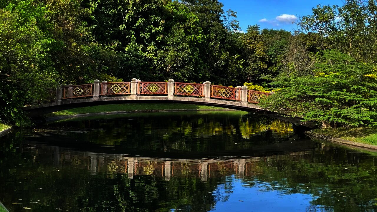 Green Oasis -Queen Sirikit Park - Bangkok Thailand