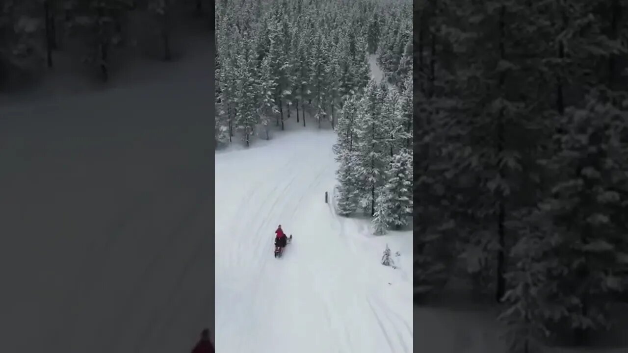 Flying above the tree tops in beautiful Montana!