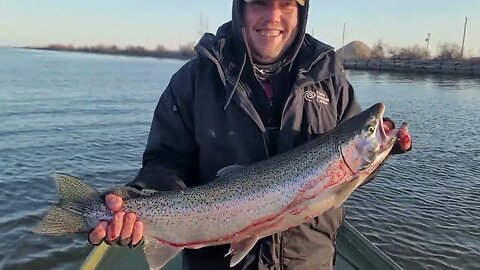 River Stealhead in Ohio