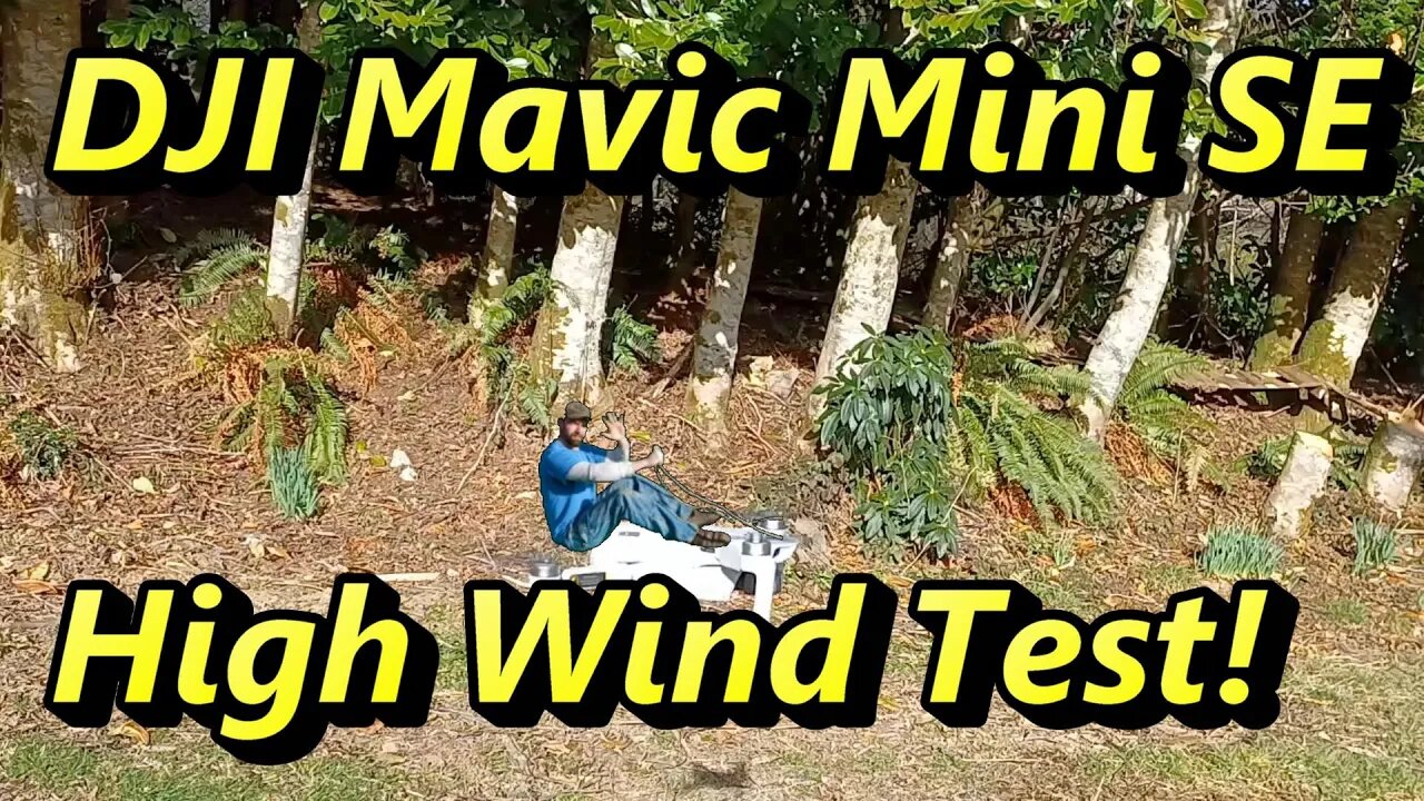 DJI mavic mini SE high wind test ( better than I expected)